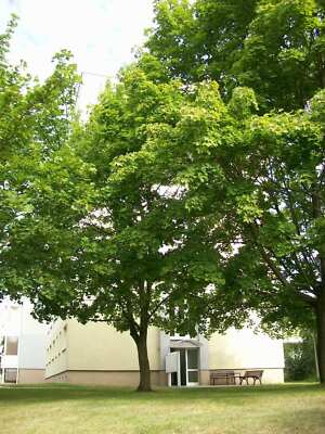 Südost Wohnungsgenossenschaft eG Altenburg